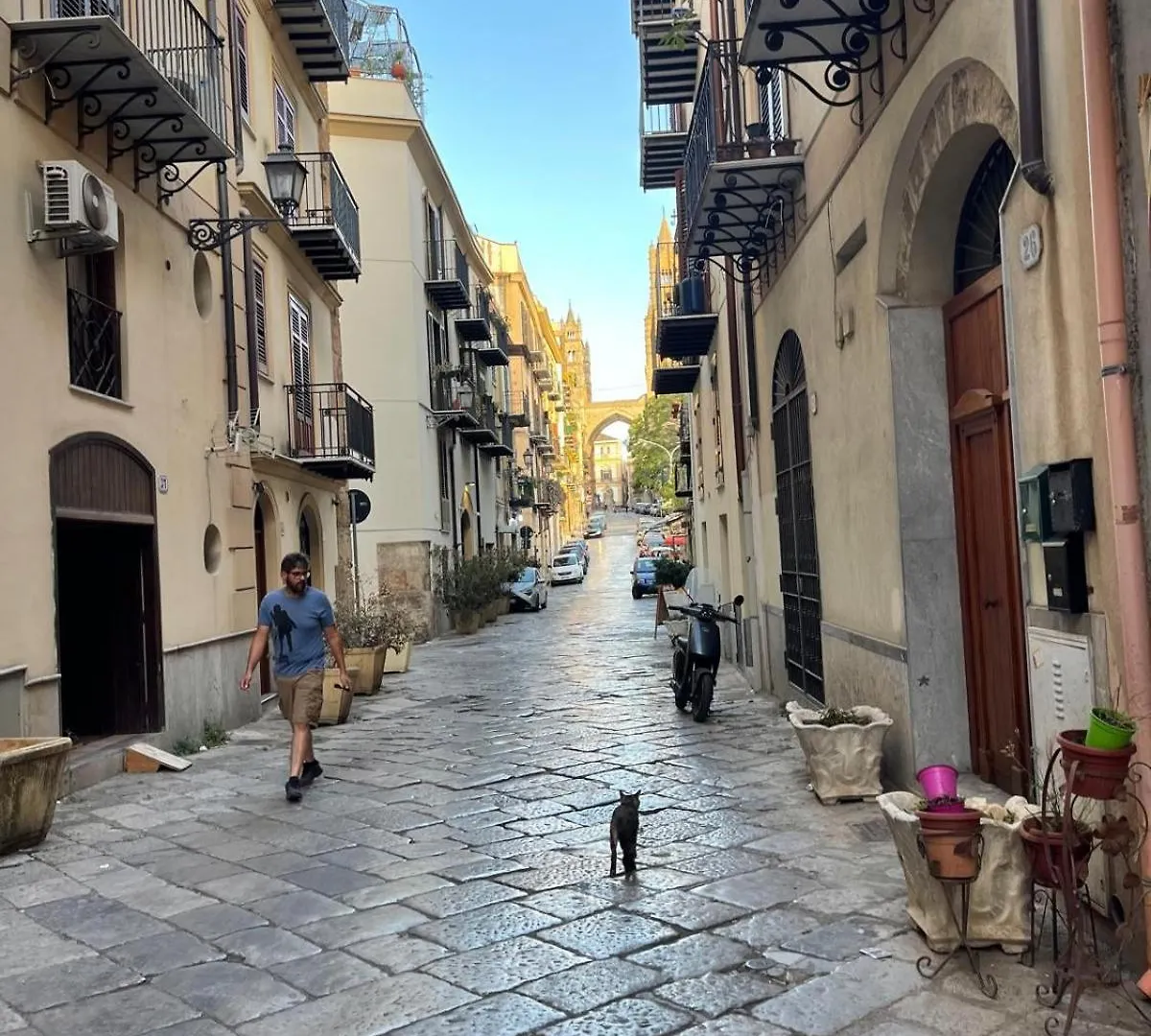Da Sofi Apartment Palermo 0*,  Italy